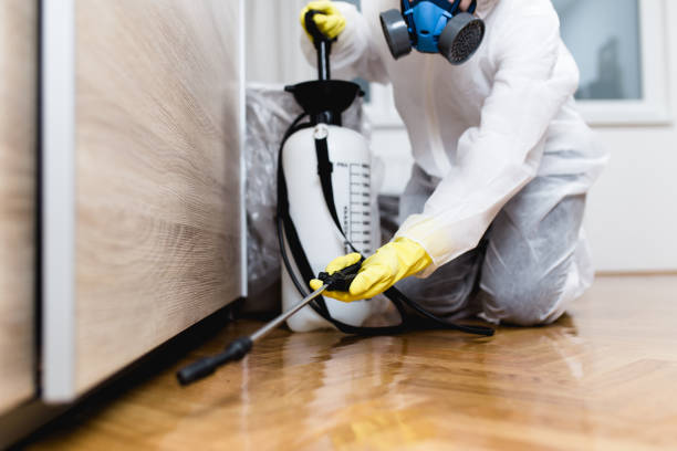 Best Bed Bug Extermination  in Gold Bar, WA