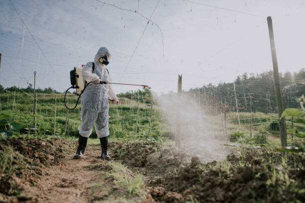 Best Termite Control Services  in Gold Bar, WA