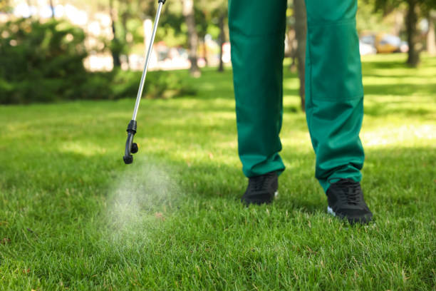 Best Emergency Pest Control  in Gold Bar, WA