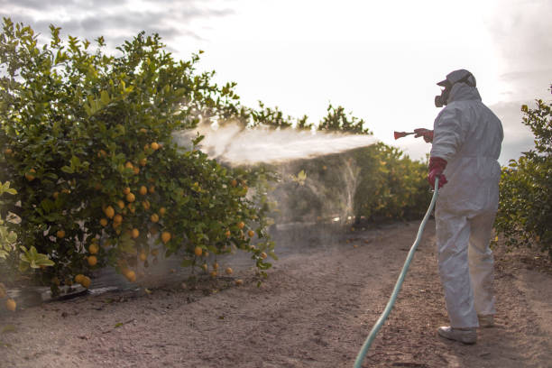 Best Mosquito Control Services  in Gold Bar, WA