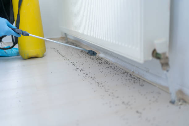Best Local Pest Control Services  in Gold Bar, WA